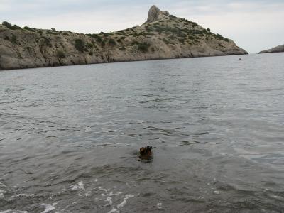 Прикрепленное изображение: IMG_4786-1.JPG